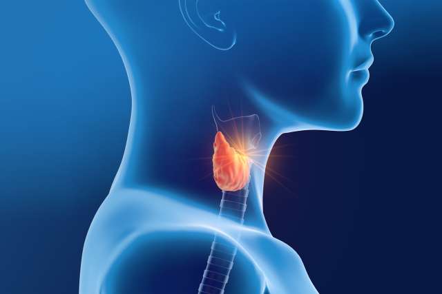 Endocrine Surgeries